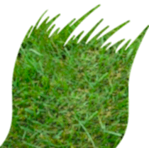 Универсальный