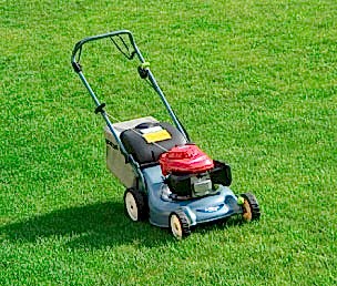 lawn-care