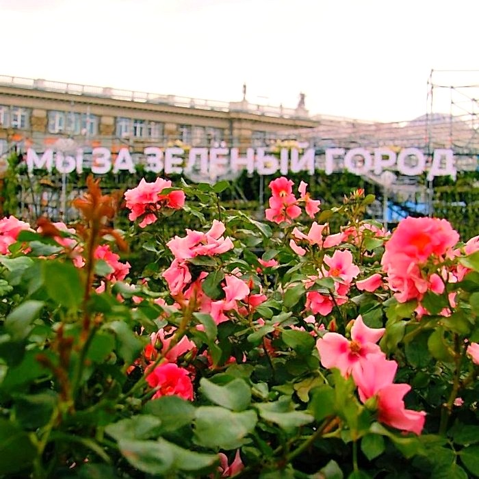 Ландшафтный фестиваль «Алматы -300» - Атмофест