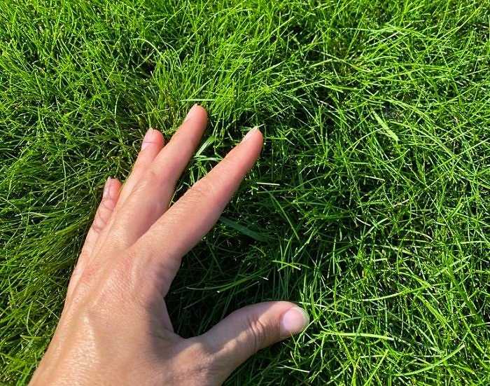 Фотографии объектов наших партнеров из Астаны