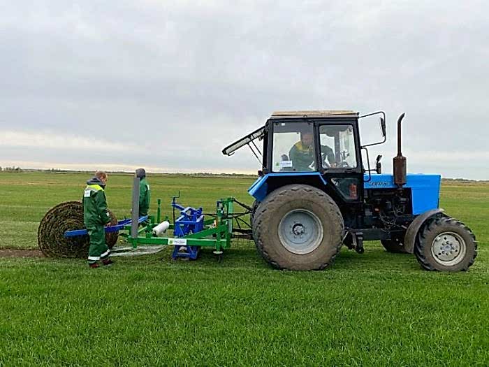 Фото с производства больших рулонов газона