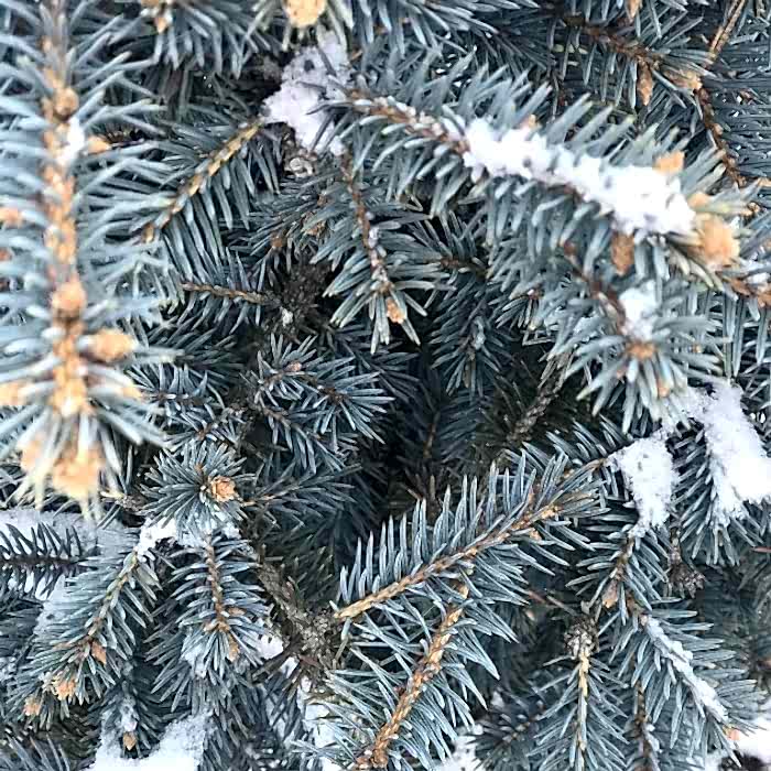 Крупномеры в наличии в Алматы