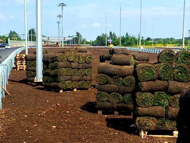 Рулонный газон на разделительной полосе магистрали