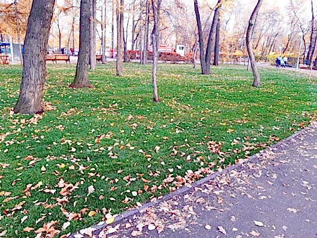 Благоустройство детского парка В.В. Терешковой 