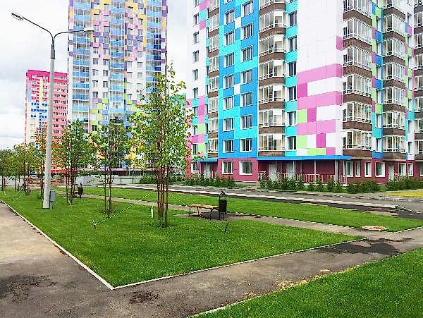 Озеленение жилого комплекса «Цветы Прикамья» г. Алматы