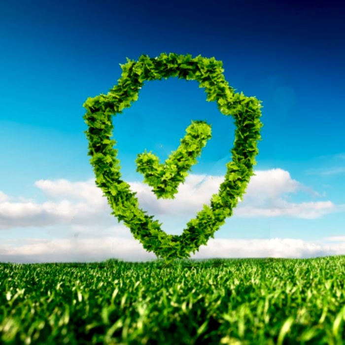 Регистрация товарных знаков группы компаний «Газоны Урала»