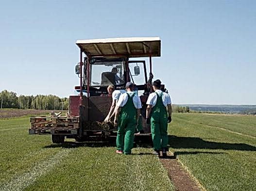 Производство рулонных газонов в Алматы, Астане и Алматы