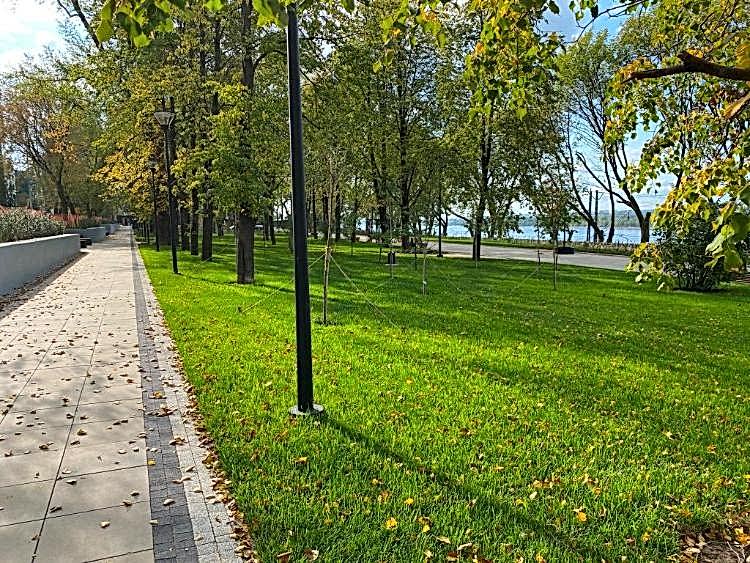 Рулонный газон на объекте партнера из Алматы