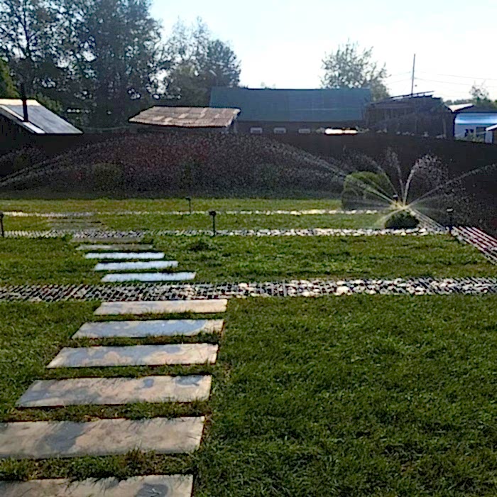 Озеленение частной территории в 2022 году.