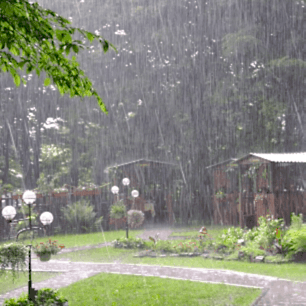 Советы по уходу за газоном в дождливый период Советы по уходу за газоном в дождливый период