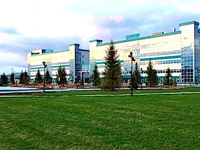 Озеленение в «ЗАПСИБНЕФТЕХИМПРОМ»