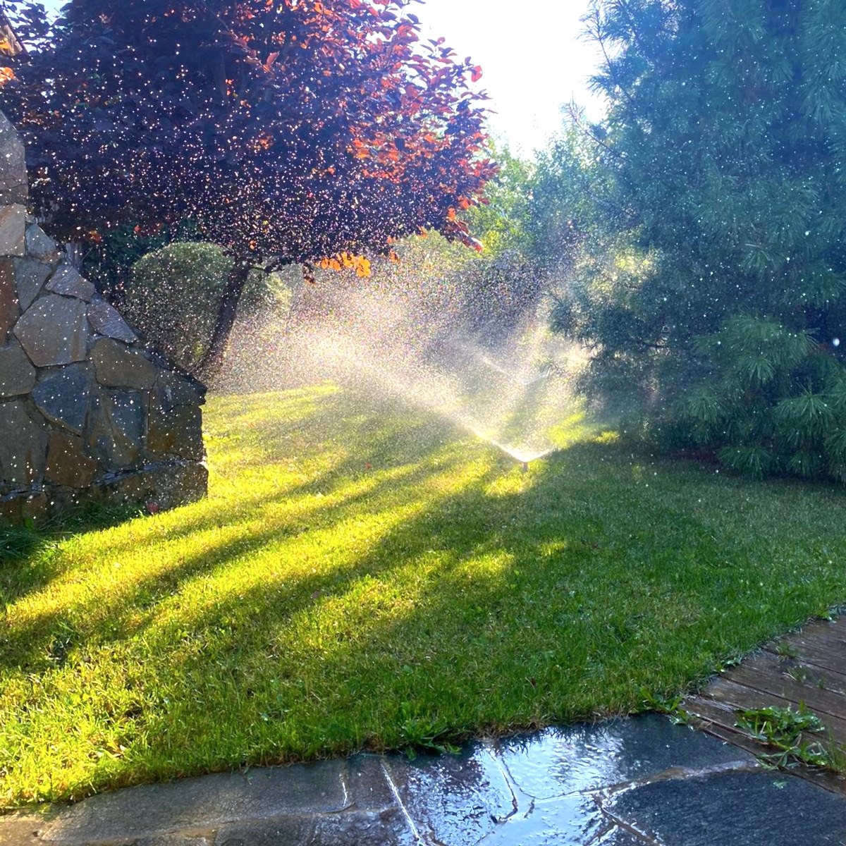 Рулонный газон на объектах партнера из Астаны Рулонный газон на объектах партнера из Астаны