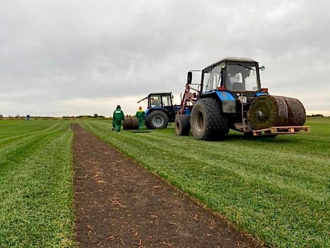 Производство биг роллов