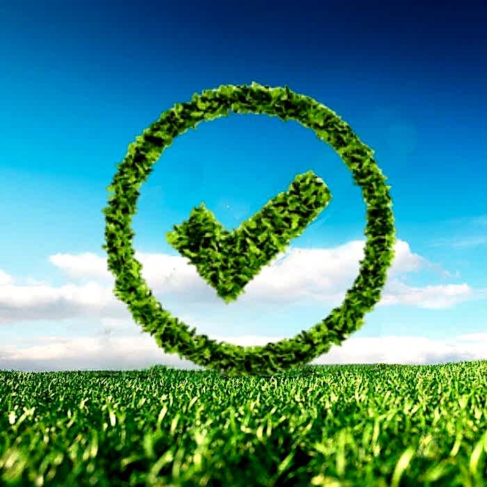 Стоимость рулонного газона в 2023 году