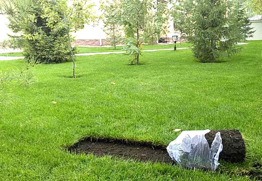 ИП Абуталипов, озеленение частного дома, (Астана, 2017) 