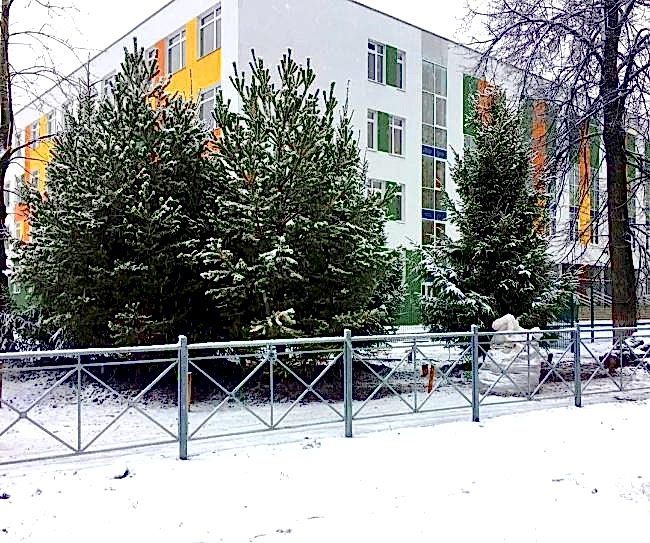 Озеленение территории школы в Алматы