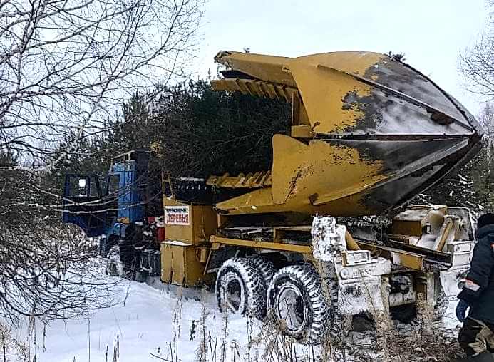 Копаем, отгружаем и сажаем крупномерные деревья