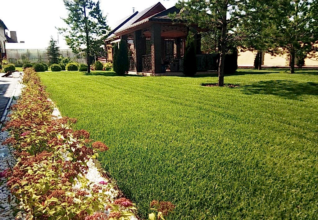 Солнечный сад, благоустройство частных объектов (Алматы, 2018)