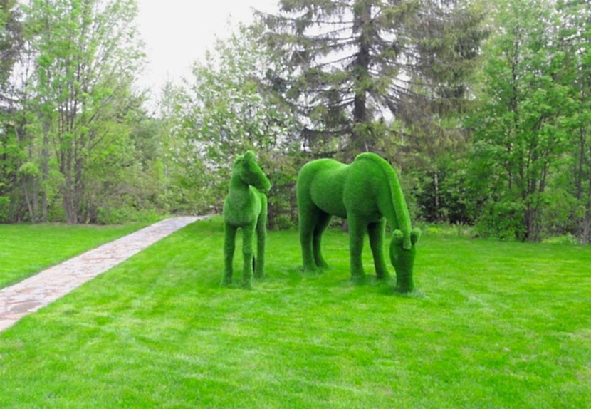 GreenMaster, ландшафтная студия, озеленение частных территорий (Алматы, 2018)  