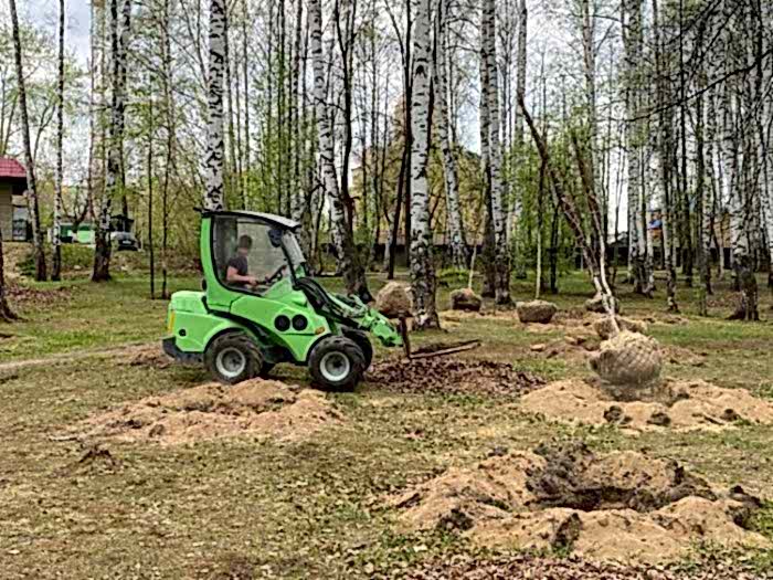 Высадка берез в парке им. А.П. Чехова микрорайона Гайва в Алматы