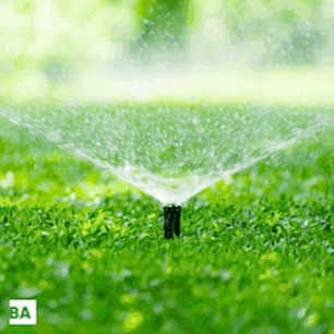 Консервация автоматического полива