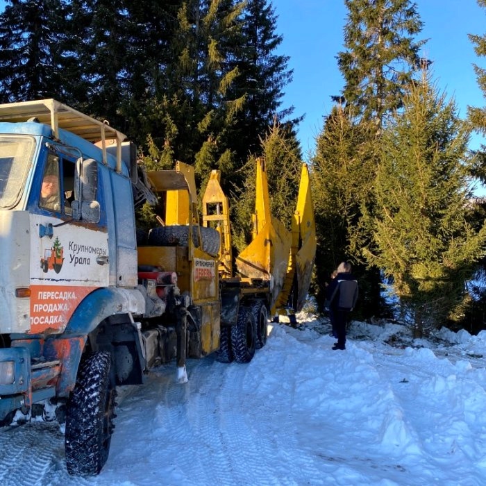 Фото зимняя посадка крупномеров в Алматы