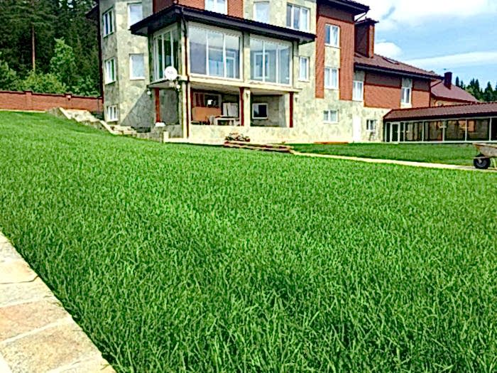 Частное озеленение территории