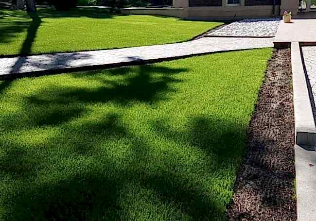 Инновационные решения в системе автоматического полива