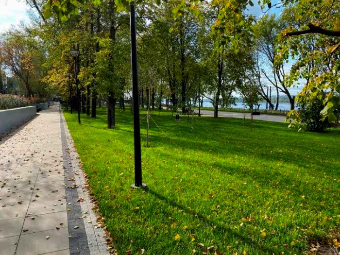 Рулонный газон на объекте партнера из Алматы