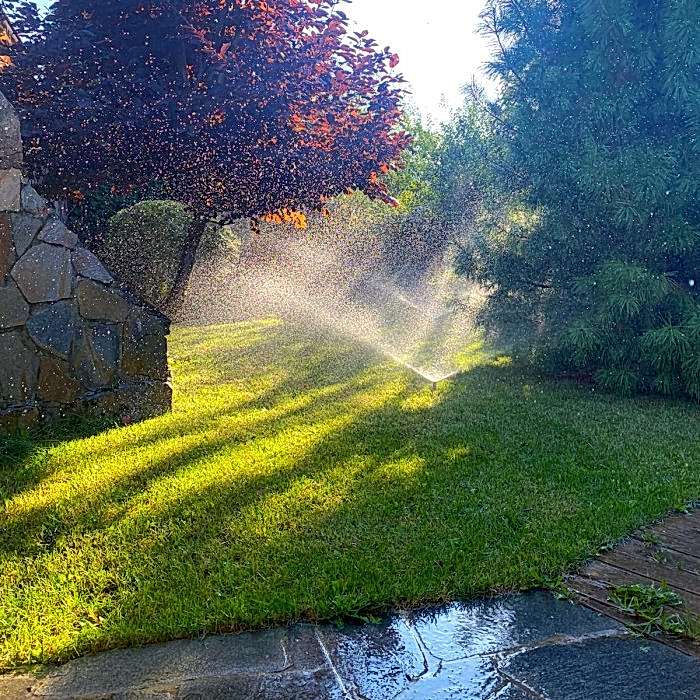 Рулонный газон на объектах партнера из Астаны