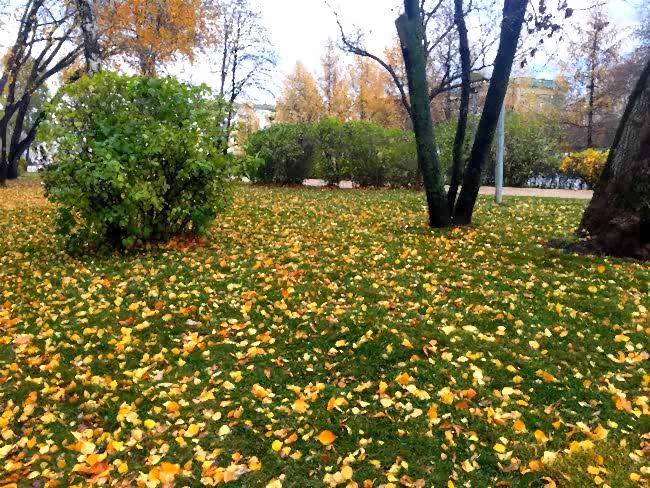 Благоустройства сквера в Алматы