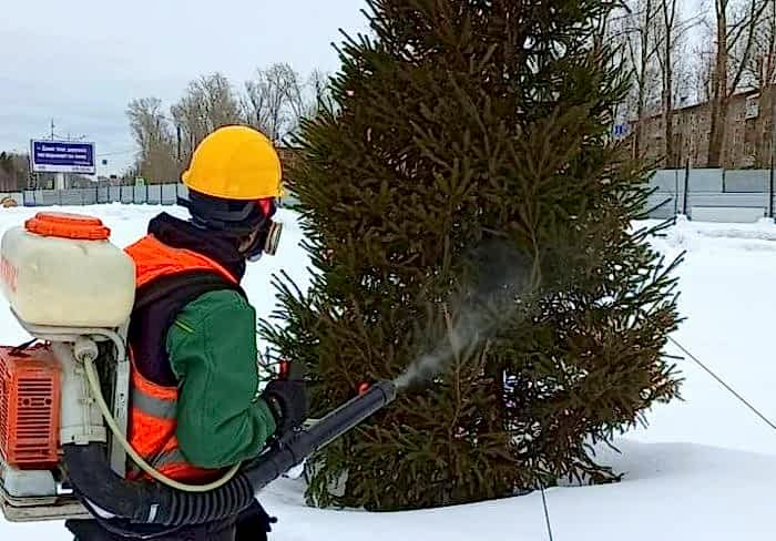 Обработка деревьев у ТРЦ Планета в Алматы