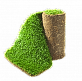 Рулонный газон